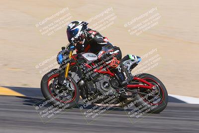 media/Dec-10-2023-SoCal Trackdays (Sun) [[0ce70f5433]]/Bowl Backside (1035am)/